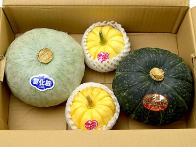 伊藤農園（三浦産かぼちゃ）・完熟かぼちゃ3種セット | 安心堂 食の