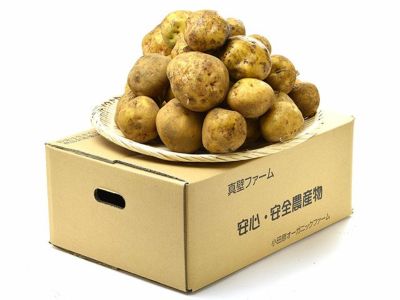 エグチベジフル・長島町の赤土じゃがいも（10kg） | 安心堂 食の