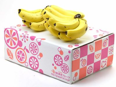 極甘 ブラジリアンバナナ (希少)