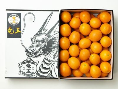 にじゅうまる』 佐賀県産柑橘 サイサイ最高級みかん1kgセット年
