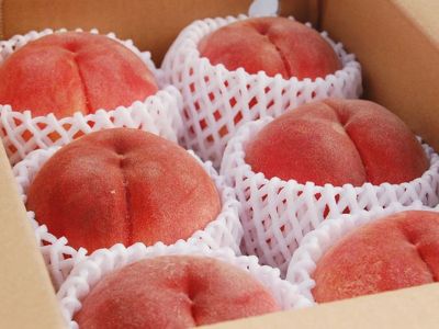 大北農園・完熟桃（極晩生）【贈答品】 | 安心堂 食のSELECTネットショップ