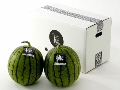 久富農園・植木の篤壌スイカ 3L（約8kg） | 安心堂 食のSELECT