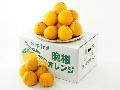 栽培期間中農薬不使用！河内晩柑(愛♡晩柑)10キロ！問い合わせページ 河内晩柑（かわちばんかん） 10kg 発送期間3月～6月 | くだもの | 地球