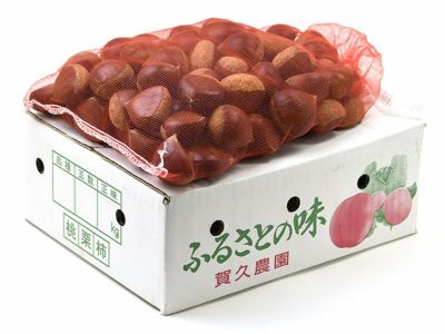 賀久農園・球磨栗 1kg 中大粒（2～3L） | 安心堂 食のSELECTネットショップ