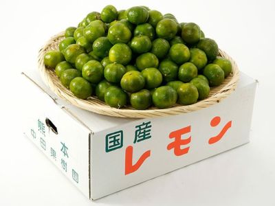 中田果樹園・シークワーサー（5kg） | 安心堂 食のSELECTネットショップ