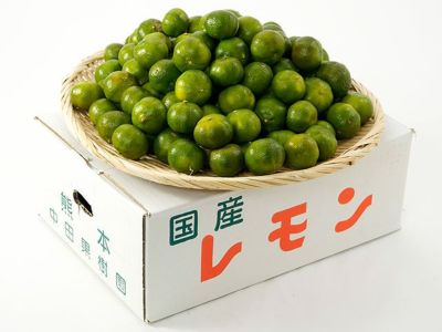 富田農園・仏手柑（小） | 安心堂 食のSELECTネットショップ