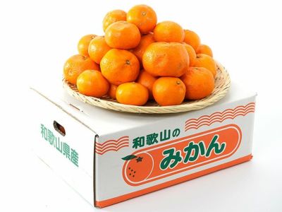 白鳥農園・伊豆産ニューサマーオレンジ（5kg） | 安心堂 食のSELECT