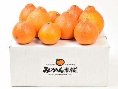 八木下農園・西之香【家庭用】5kg | 安心堂 食のSELECTネットショップ