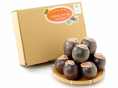 京都産・堀りたて生京たけのこ 2kg（2～6本入り） | 安心堂 食のSELECT