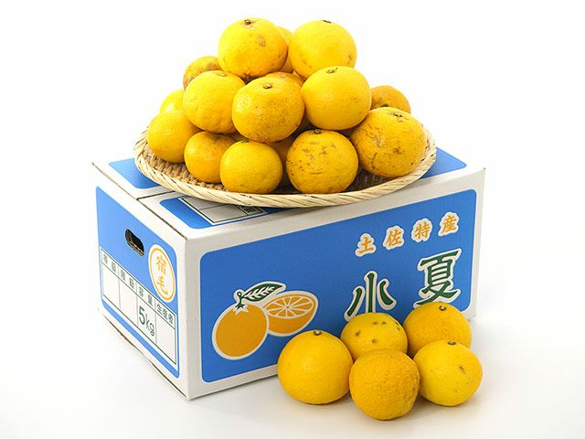 000000019067-01-l.jpg?t=