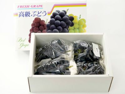 高繁果樹園・横手ぶどう【シャインマスカット】1.5kg(2~3房 高繁果樹園・横手ぶどう【シャインマスカット】1.5kg(2~3房
