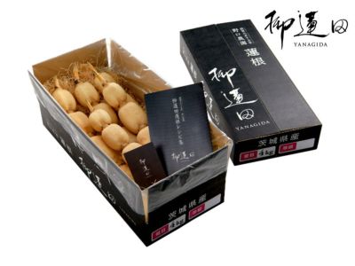 野口農園・柳蓮田蓮根（2kg） | 安心堂 食のSELECTネットショップ