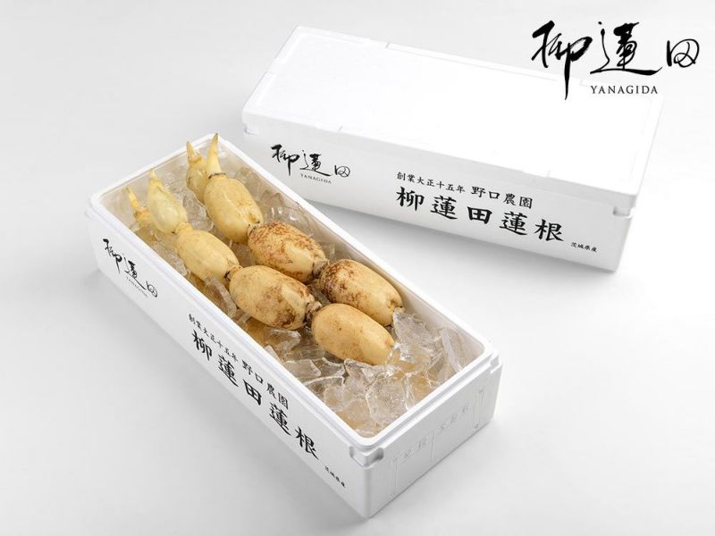 野口農園・柳蓮田蓮根【夏】（4kg） | 安心堂 食のSELECTネットショップ