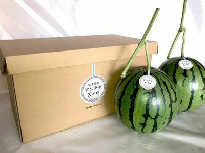 空中スイカ　スイカっちゃん　NHK紹介品　　2玉セット　2L 空中スイカ スイカっちゃん NHK紹介品 2玉セット 2L - メルカリ