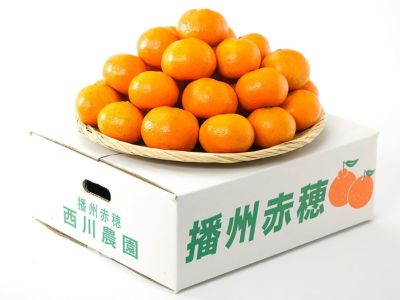 右田柑橘・【有機JAS認証】温州みかん 肥のみらい（M～2L混合）3kg