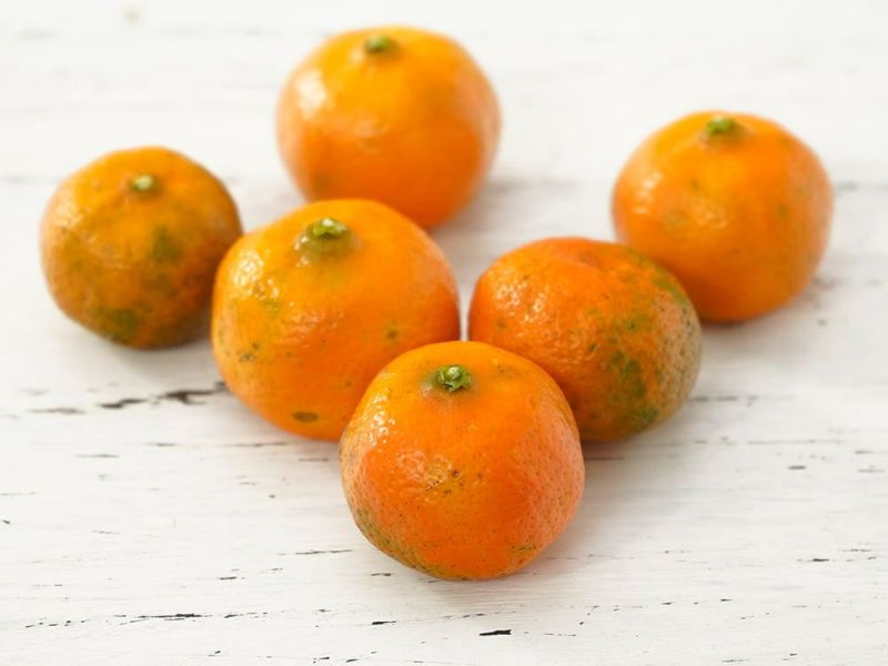 中田果樹園・完熟シークワーサー（5kg） | 安心堂 食のSELECT