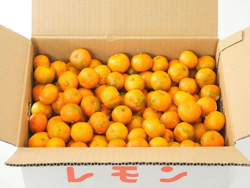中田果樹園・完熟シークワーサー（3kg） | 安心堂 食のSELECT