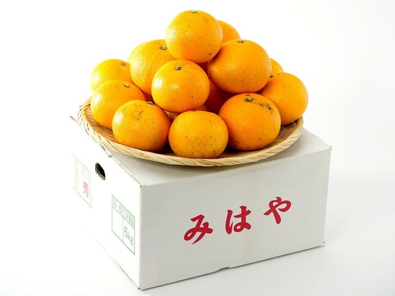 中田果樹園・完熟八朔（10kg） | 安心堂 食のSELECTネットショップ