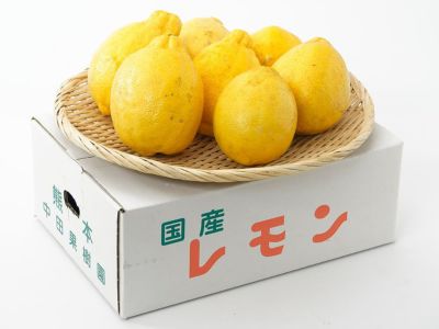 中田果樹園・璃の香（りのか）レモン 10kg(約50個） | 安心堂 食のSELECTネットショップ