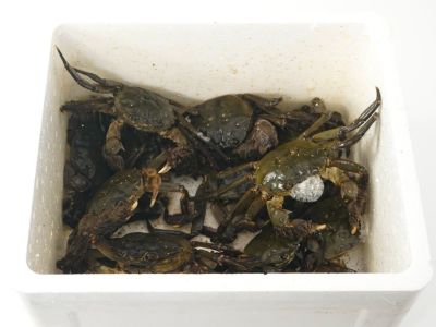 吉成屋（天然活モクズガニ） | 安心堂 食のSELECTネットショップ