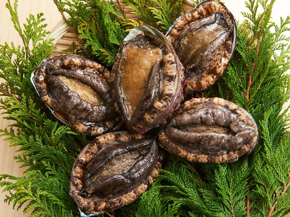 野村海産・三陸天然あわび粕漬貝殻盛り（130g）1個 | 安心堂 食の