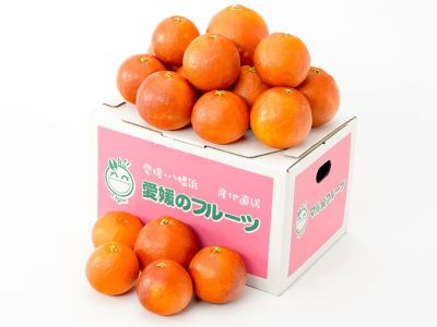 中田果樹園・スイートスプリング【家庭用】10kg（36～50玉） | 安心堂