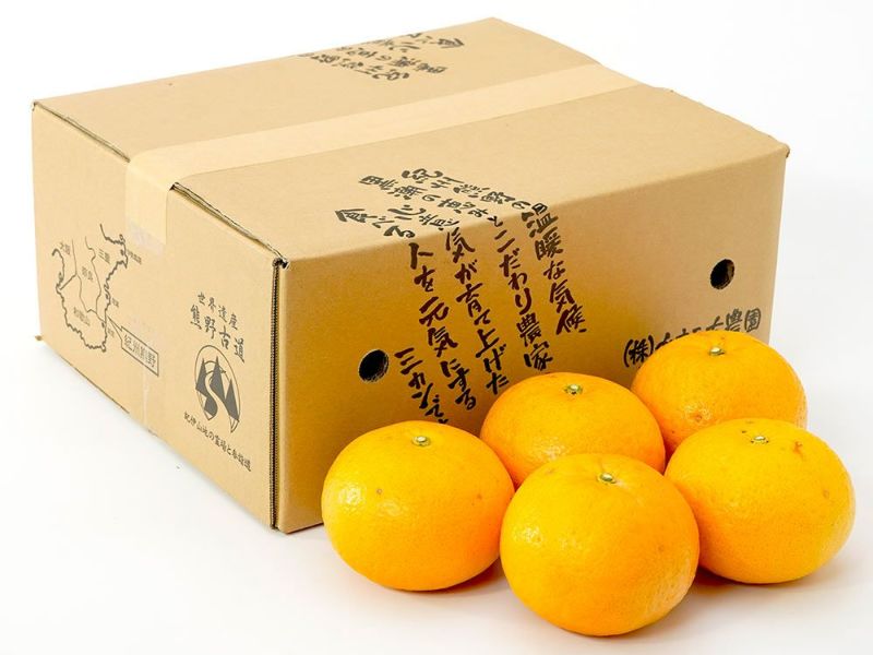 かきうち農園・木成り完熟熊野甘夏 3kg | 安心堂 食のSELECT