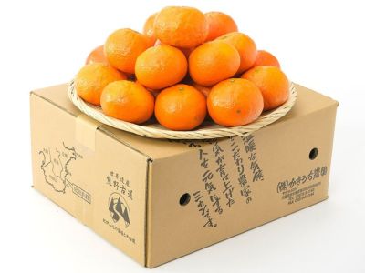 萩森農園・完熟せとか5kg(20～30個)【家庭用】 | 安心堂 食のSELECT