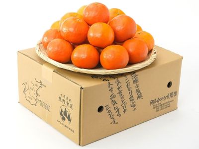 かきうち農園・木成り完熟熊野甘夏 3kg | 安心堂 食のSELECTネットショップ