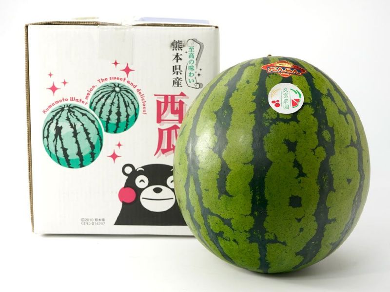 100キロを超えるジャンボスイカの重さを競う品評会 熊本市