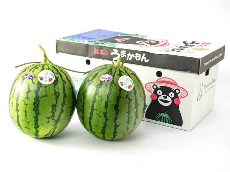 農家直送！熊本植木スイカ　希少食べ比べセット　L玉 生産者】スイカっちゃんの立体スイカ2L2玉: you+youくまもと 農