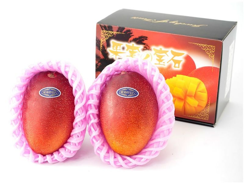 カワノ農園・太陽マンゴー 果実の宝石 2Lサイズ（約400g）×2玉