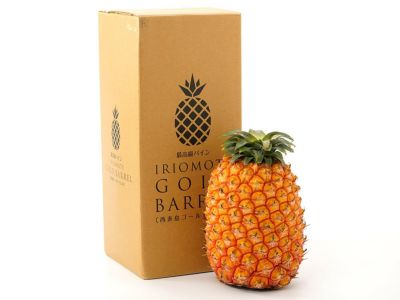和歌山産・バレンシアオレンジ（5kg） | 安心堂 食のSELECT