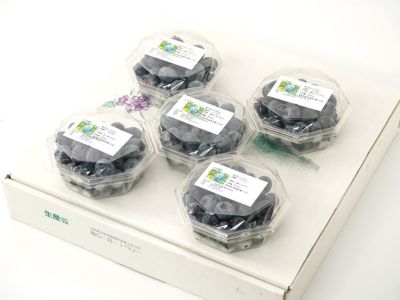 龍の瞳　飛騨産　4ｋｇ（2キロ✖️2袋」 楽天市場】龍の瞳 2kgの通販