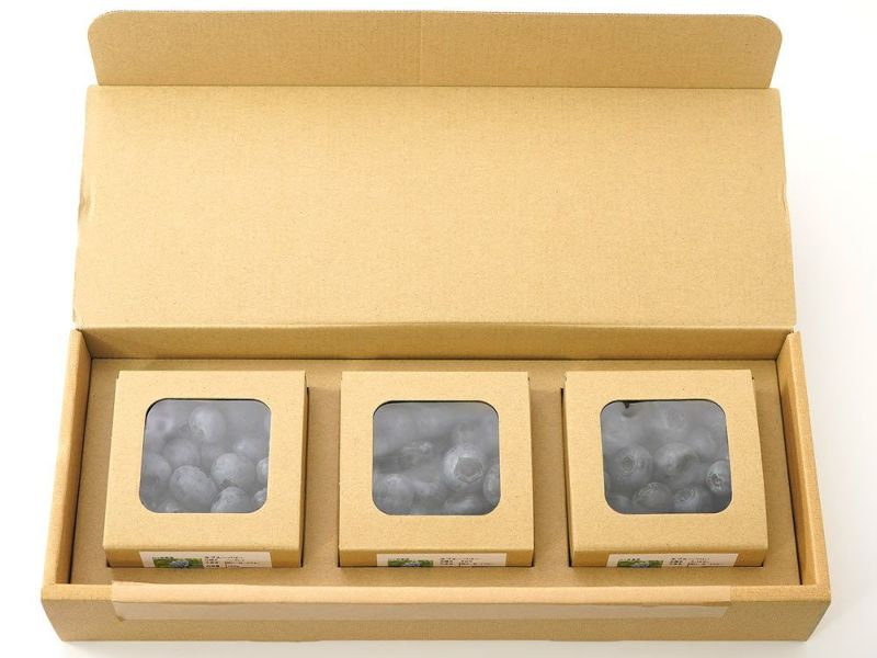 O-B-Iベリー・完熟大粒ブルーベリー（150g）3箱セット | 安心堂