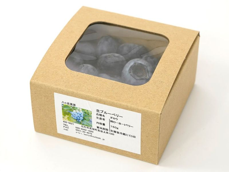 ブルーベリー1.0kg 大粒　ブルーベリー1.0kg 計2箱 化粧箱入り ブルーベリー1.0kg 大粒 化粧箱入り