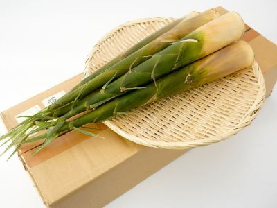 京都産・堀りたて生京たけのこ 2kg（2～6本入り） | 安心堂 食の