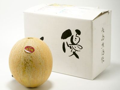 矢島農園・優香メロン2玉（約4kg） | 安心堂 食のSELECTネットショップ