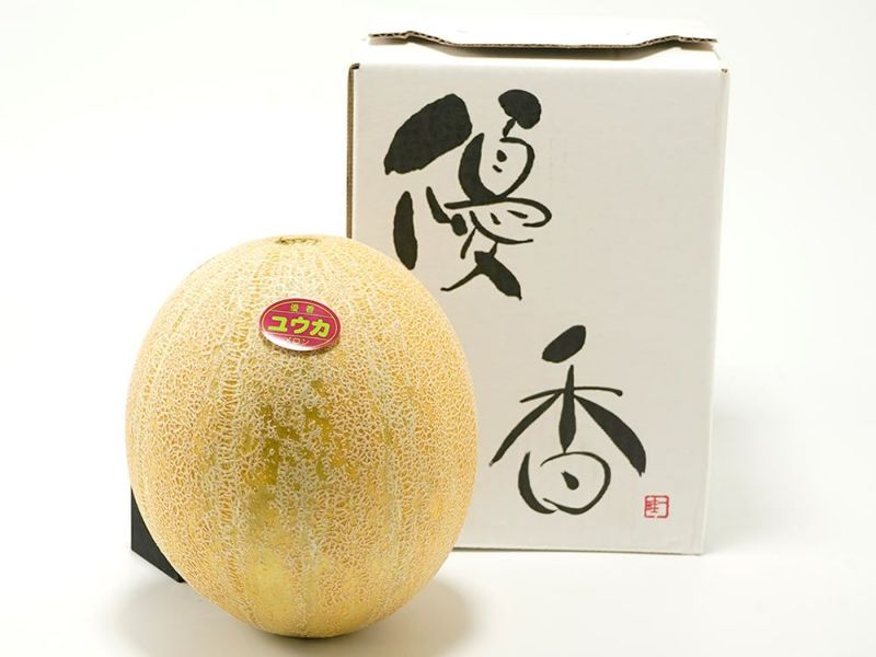 矢島農園・優香メロン1玉（約2kg） | 安心堂 食のSELECTネット