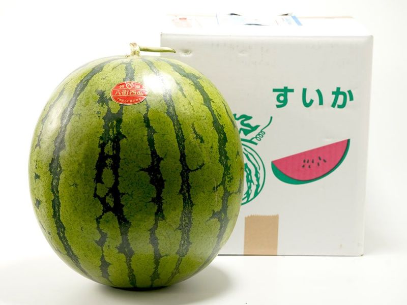 山本農園・八街実生すいか4L（約9kg） | 安心堂 食のSELECTネットショップ