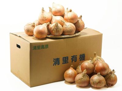 ヤマカ農園・木成り完熟はるみ 5kg(サイズ混載） | 安心堂 食の