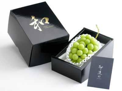 ぶどうジャーニー出品 竹野葡萄園・柳蓮田ぶどう（シャインマスカット）500g | 安心堂 食の