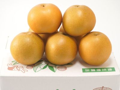 山上農園・不知火（1.5～1.8kg）6玉【化粧箱】 | 安心堂 食のSELECT