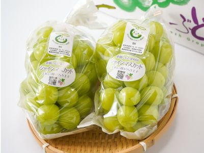 ぶどうの森・シャインマスカット（1.2kg）2房入り | 安心堂 食の
