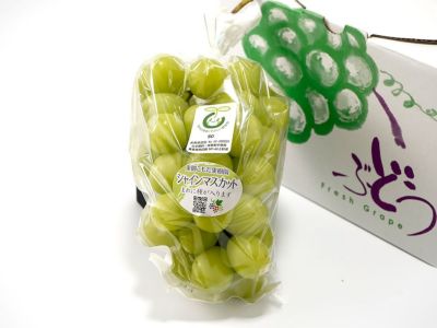 tanitan様　生栗　10キロ　１回目 栗 茨城県 生栗 くり クリ 送料無料 菊地さんちの 無燻蒸 生栗