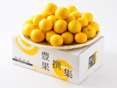 齋藤農園・西明寺栗（2Lサイズ）1kg | 安心堂 食のSELECTネットショップ