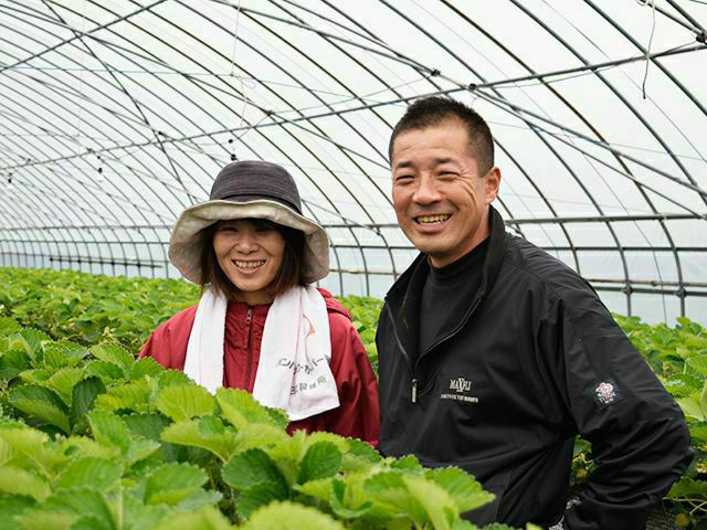 楽農ファームたけした・特選あまおうギフト 3L（450g） | 安心堂 食の