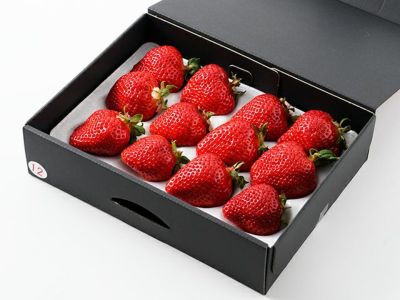 メロン＆いちご いちご メロン （クール便） | お祝い商品 御祝