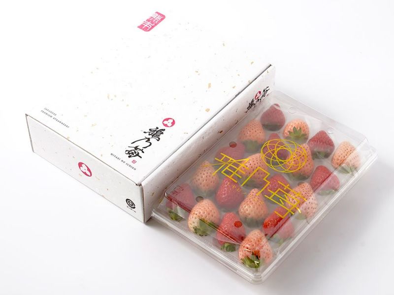 omochiプロデュースいちごぽしぇっと&トナカイしゃんセット① とくしまオーガニックいちご・中粒(18粒 さちのか) 1箱