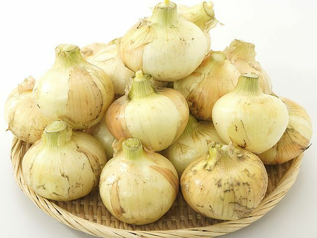 無肥料 無農薬 ミニたまねぎ(5kg) など３品 - 野菜